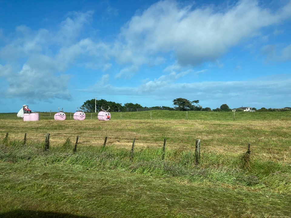 Neuseeland - Hokitika - Da kommt doch Weihnachtsstimmung auf, wenn der Weihnachtsmann mit seinen Rentieren vorfährt 🤭