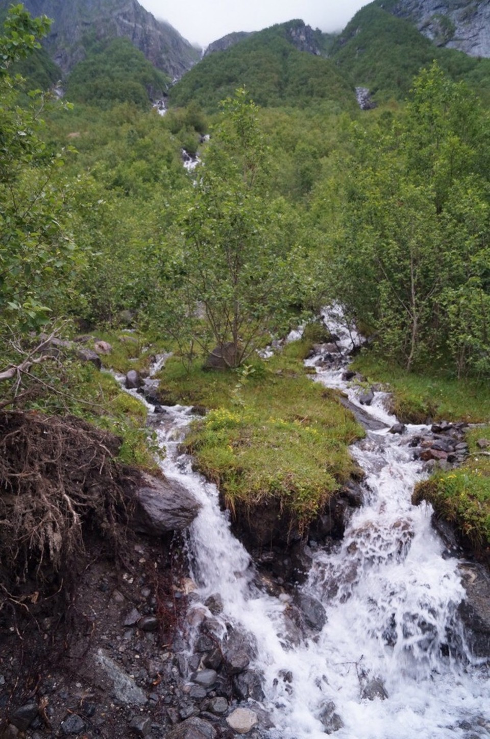 Norwegen - Halsa - 