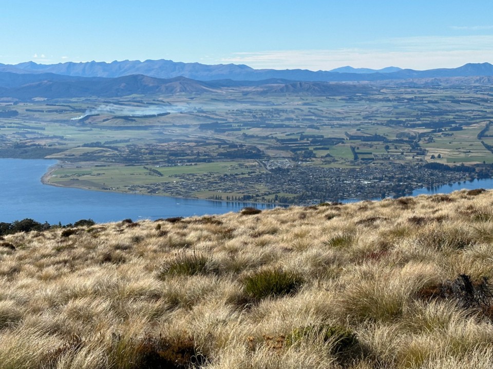 Neuseeland - Te Anau - dann 
Mischwald über die Baumgrenze ( ca 900m) zur Lacksmut Hut
