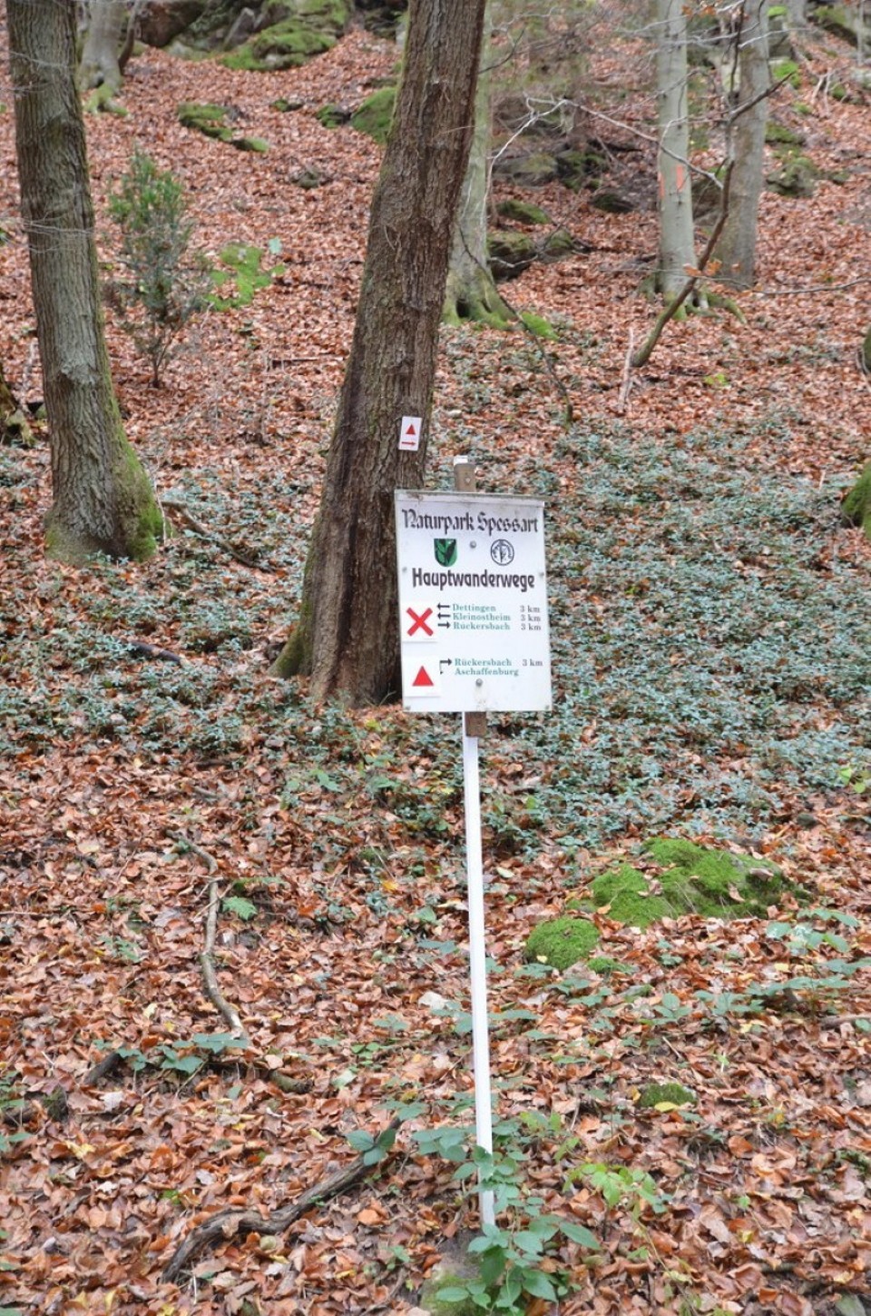 Deutschland - Johannesberg - 