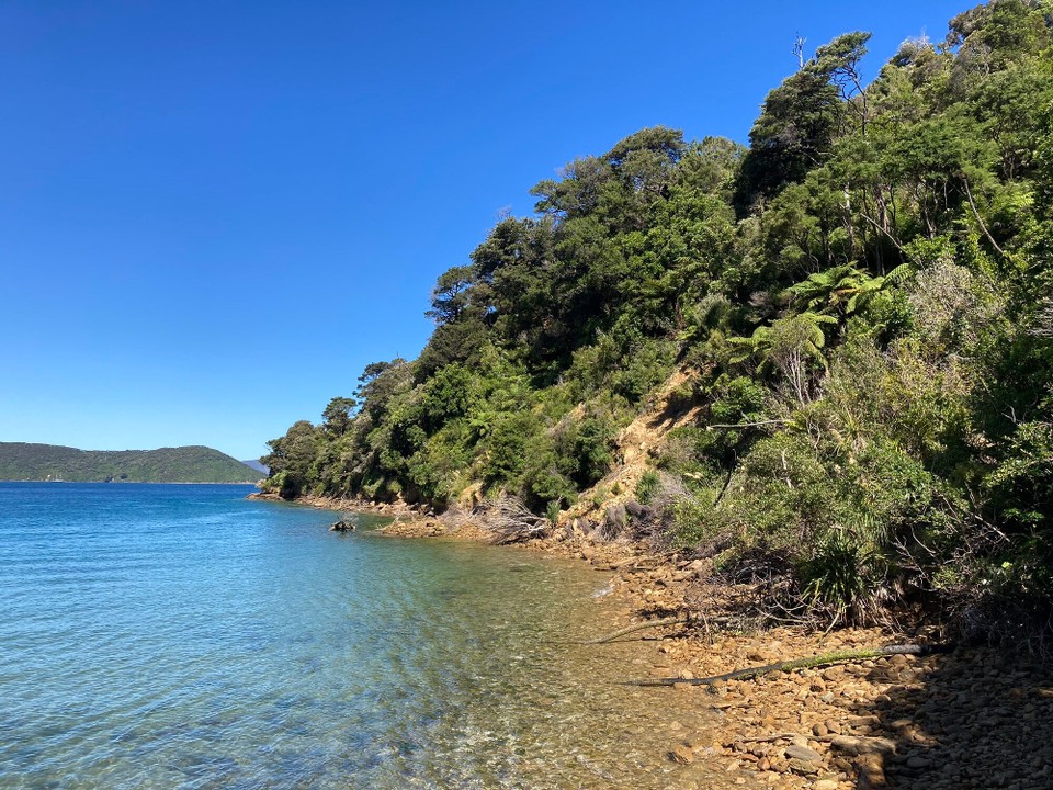 Neuseeland - Marlborough Sounds - Ship Cove
