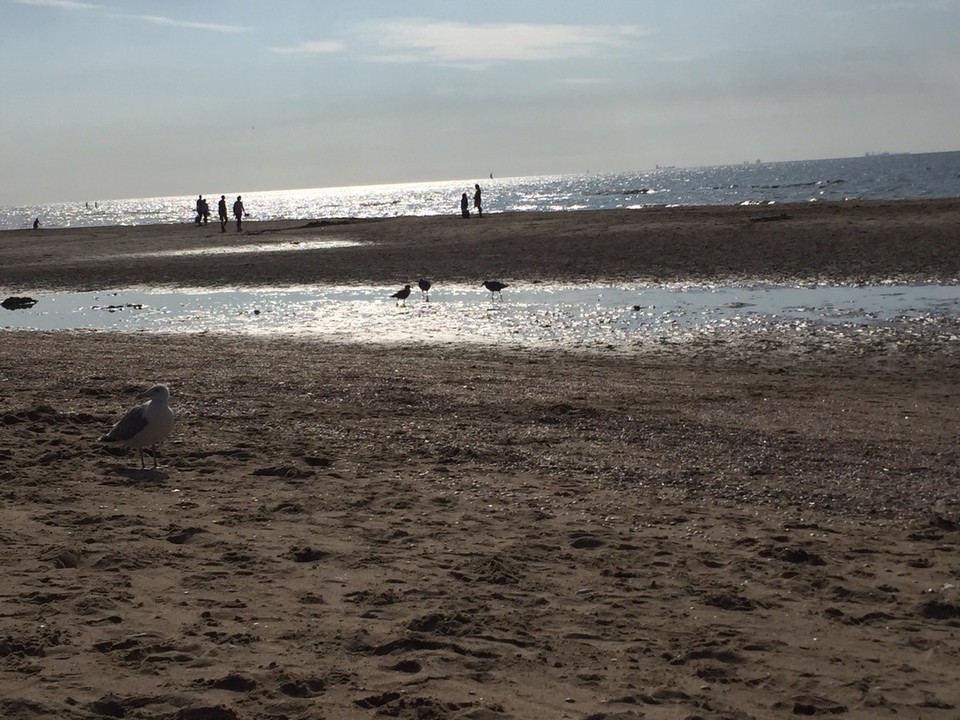 Niederlande - Katwijk - 