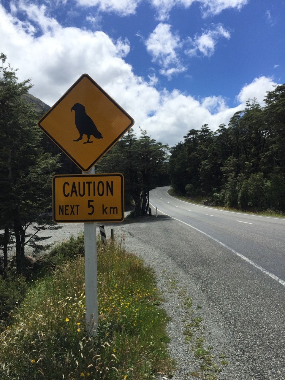 Neuseeland - Arthur’s Pass - 