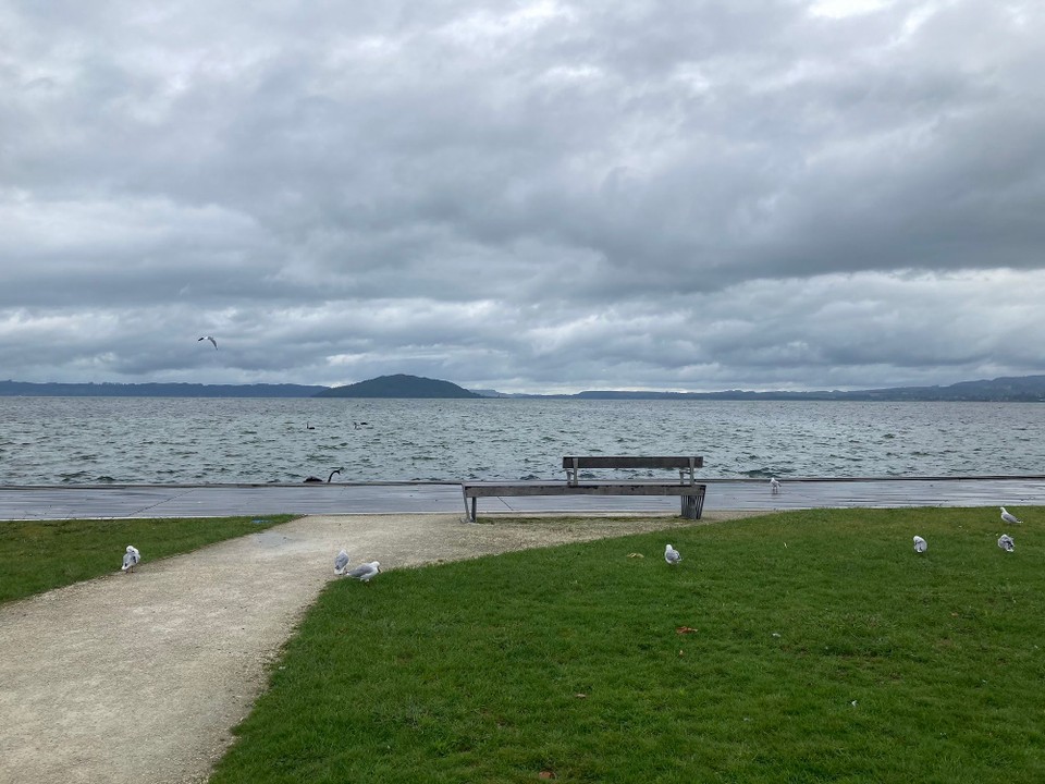 Neuseeland - Rotorua - Und wenigstens kurz am Wasser gewesen