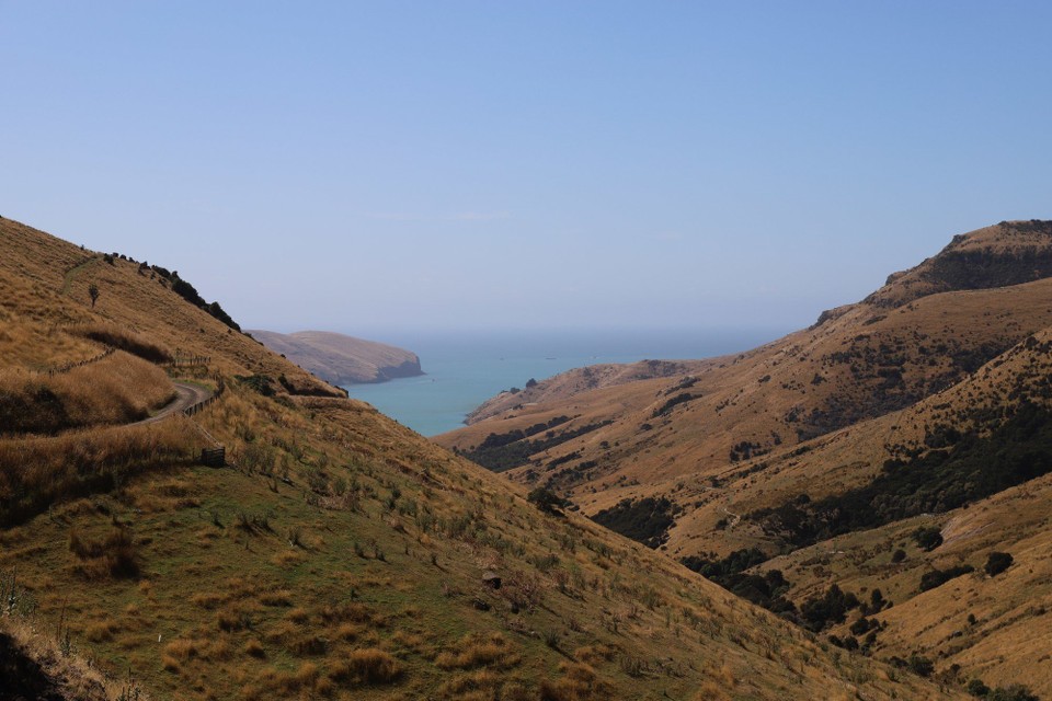 Neuseeland - Akaroa - 