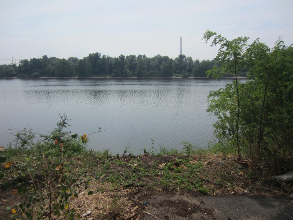 Deutschland - Mannheim - - Blick auf die Friesenheimer Insel