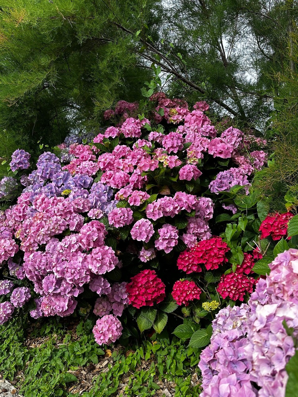 Frankreich - Perros-Guirec - 