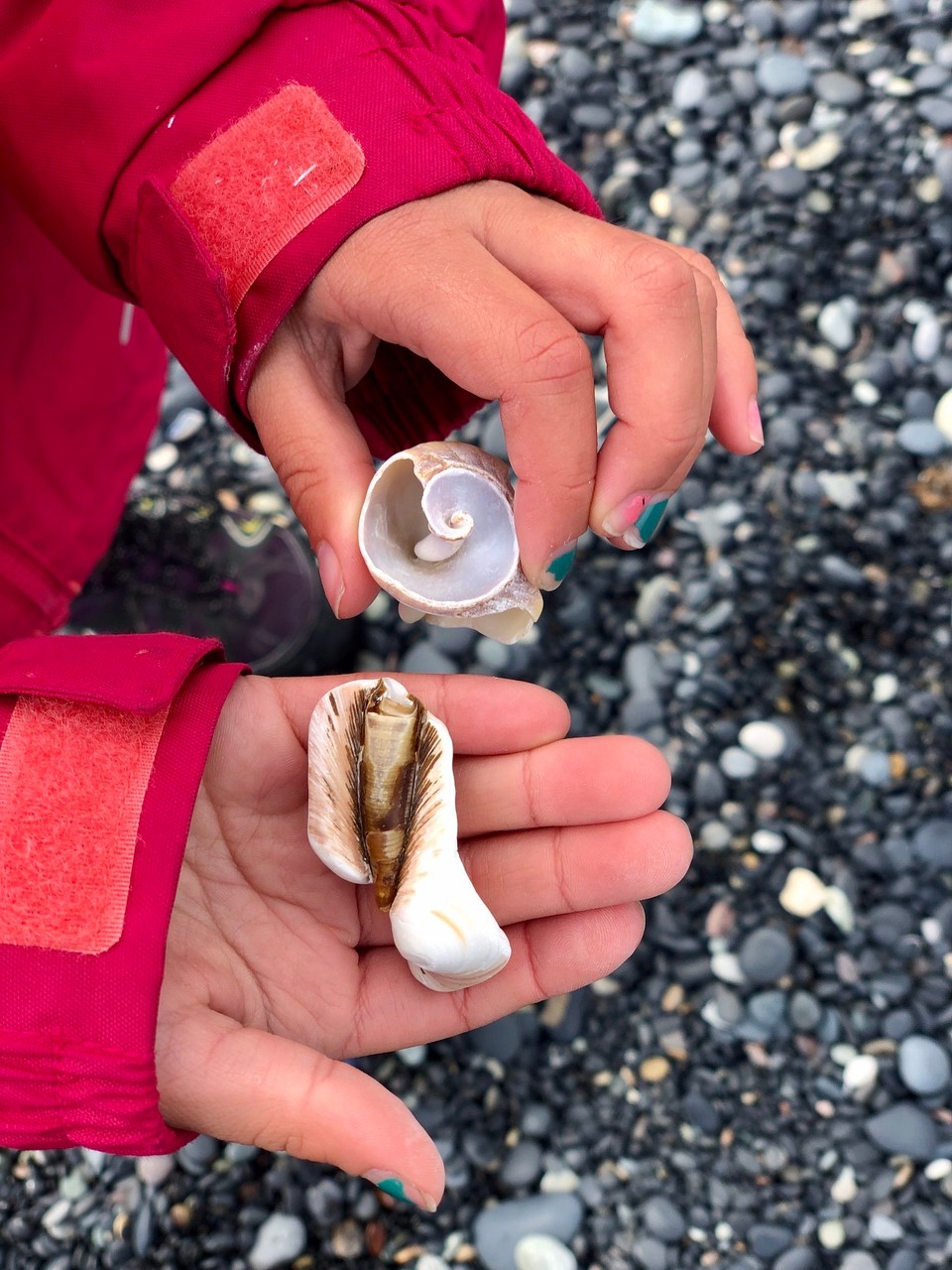 Island - Sveitarfélagið Hornafjörður - Schöne Fundstücke... 😊