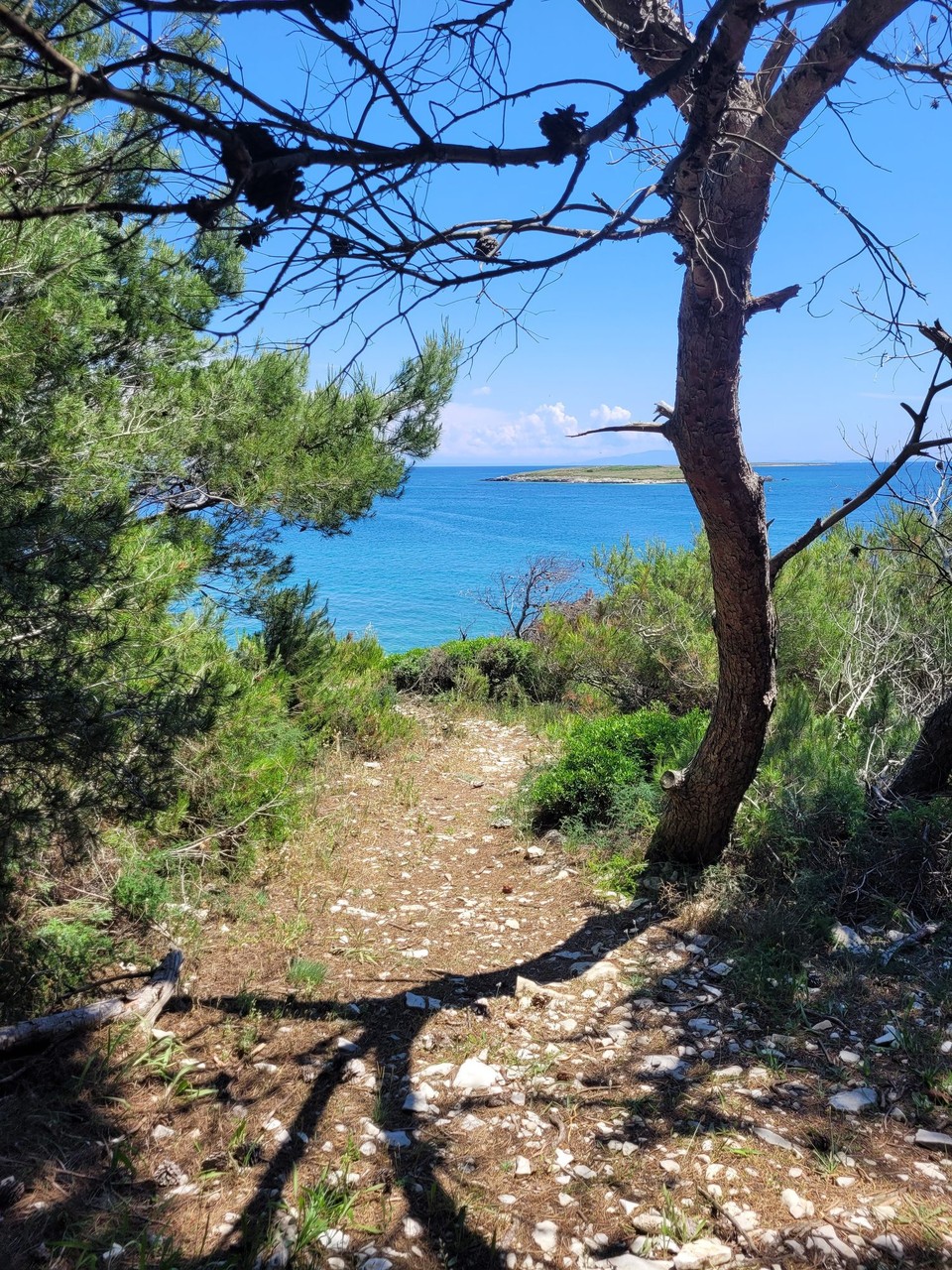 Kroatien - Premantura - 