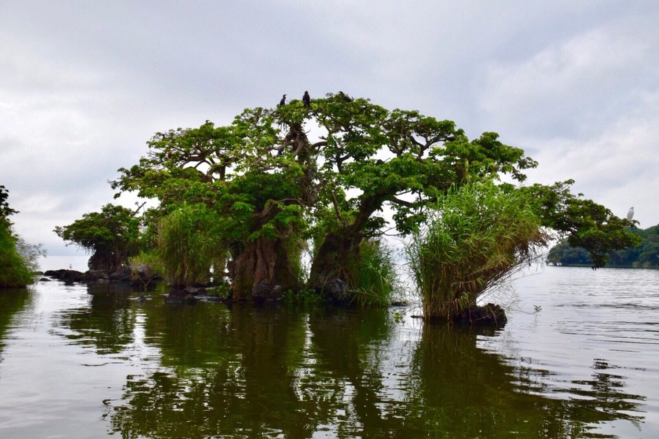 Mexiko - Catemaco - Catemaco ist das traditionelle mexikanische Zentrum der Curanderos (Wunderheiler) und Brujos (Hexenmeister)
Medicine Man – Die letzten Tage von Eden wurden hier mit Sean Connery gedreht. 