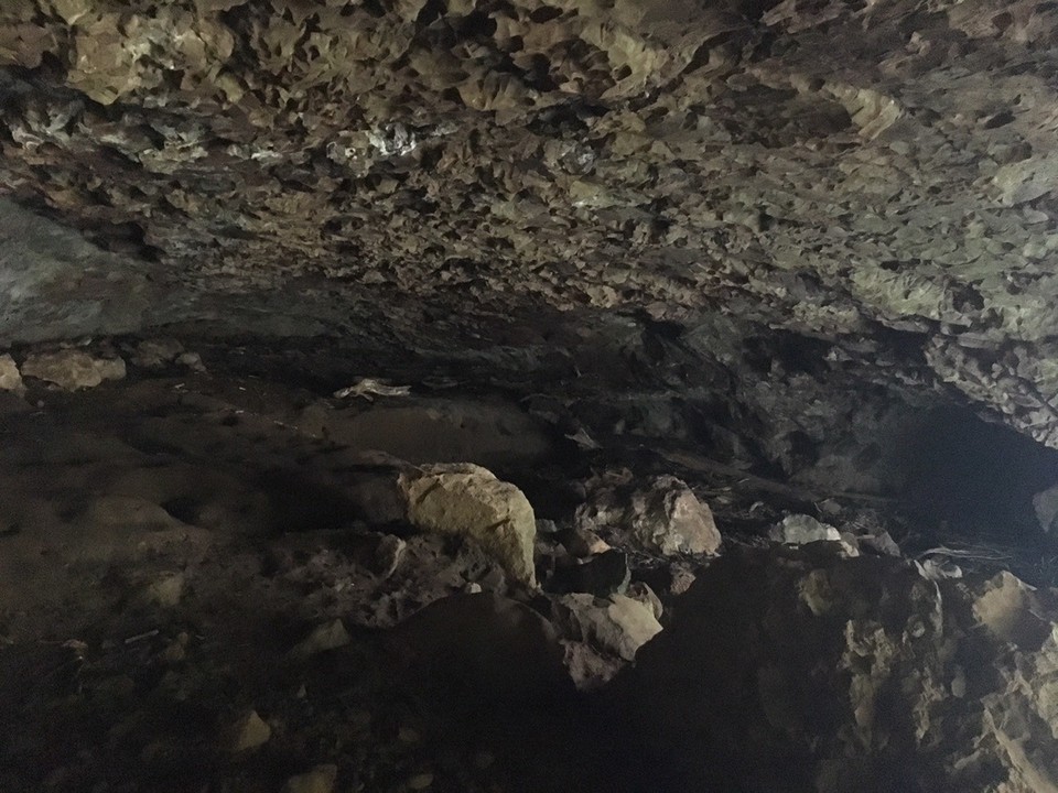 Ausztrália - Springbrook - 