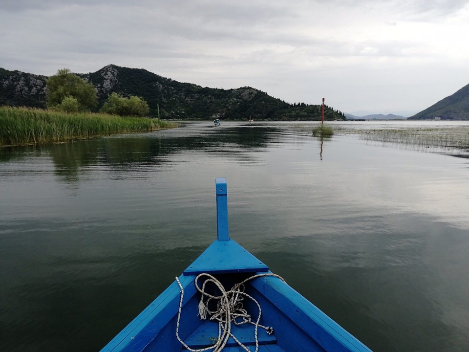 Montenegro - Virpazar - Lake Skadar