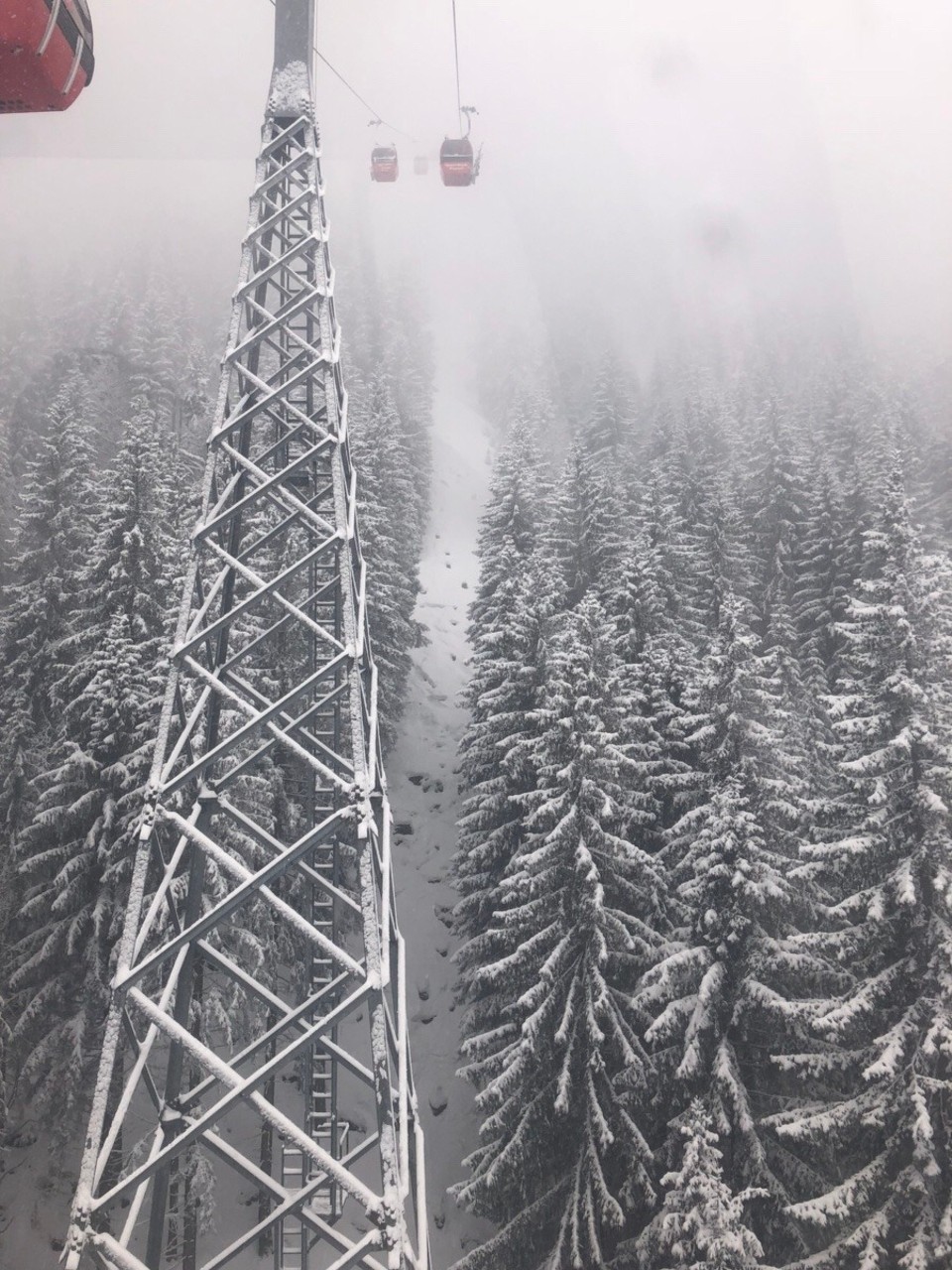 Austria -  - 