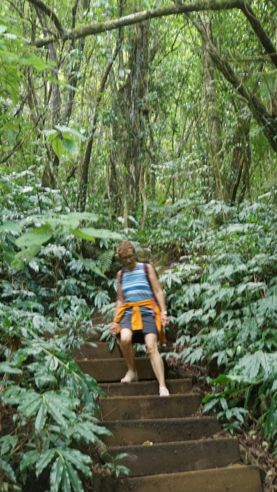 Réunion - Cilaos - 