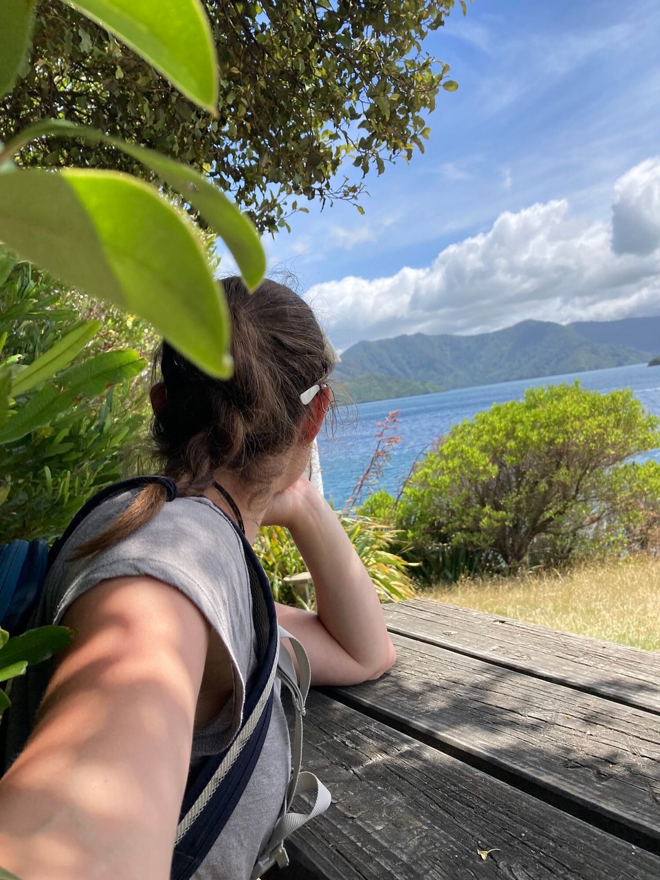 Neuseeland - Picton - 