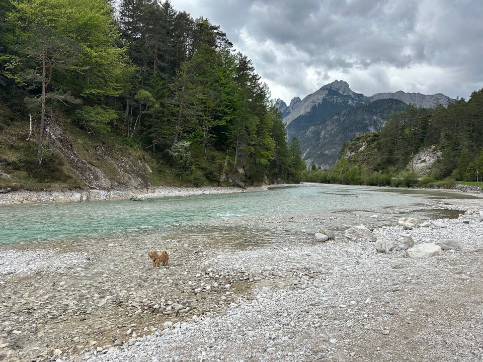 Österreich - Scharnitz - 