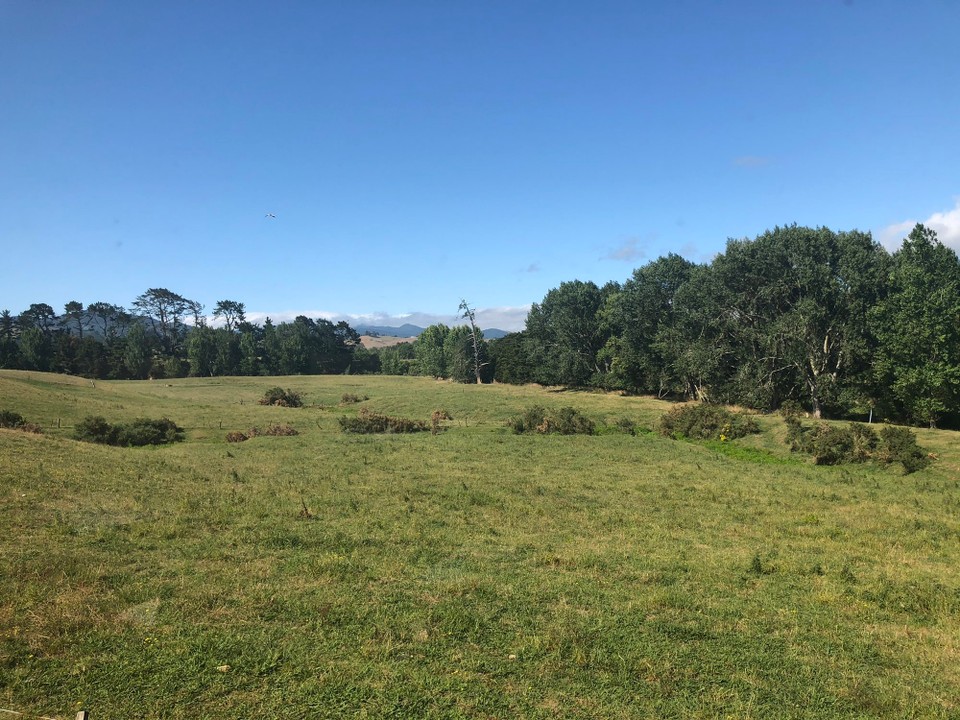 Neuseeland - Waihi - Fahrt nach Waikino