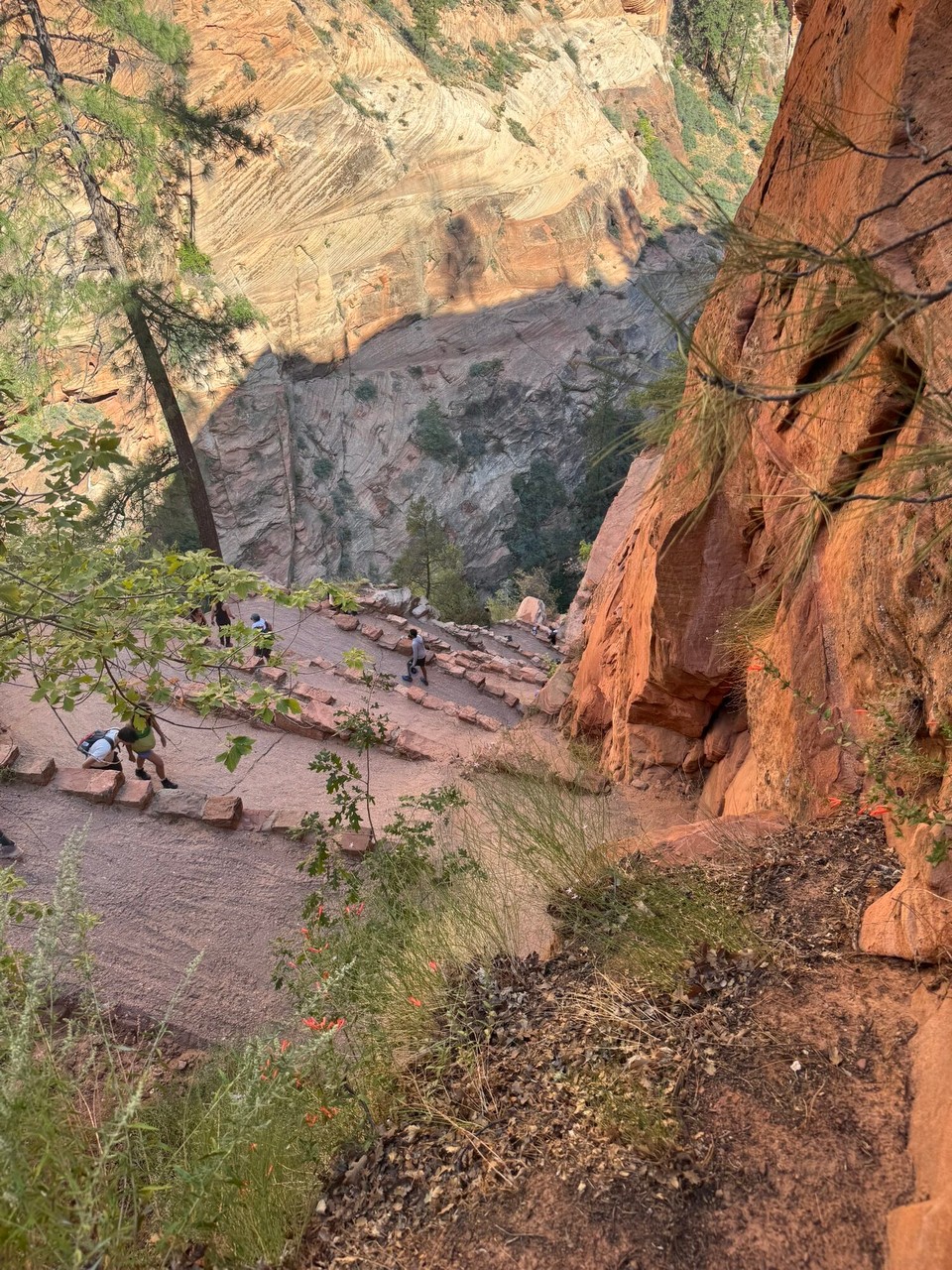 Vereinigte Staaten - Springdale - (Deh letscht richtig steil Ahstieg.😂)