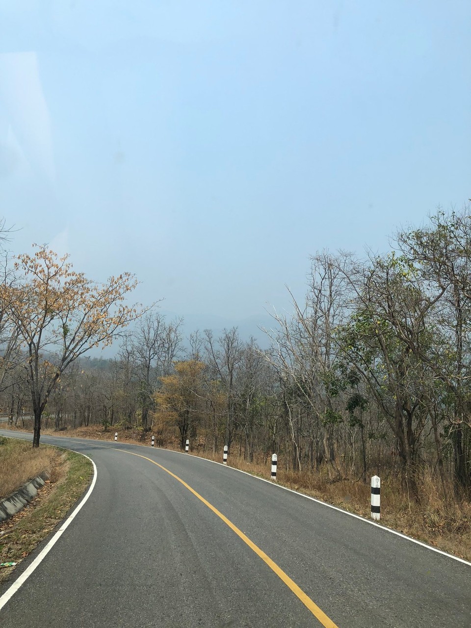 Thailand - unbekannt - Die Fahrt zum Wasserfall. Durch den Smog sieht man die Berge nicht und aufgrund der Trockenzeit sind die Bäume kahl…wie bei uns im Winter. 