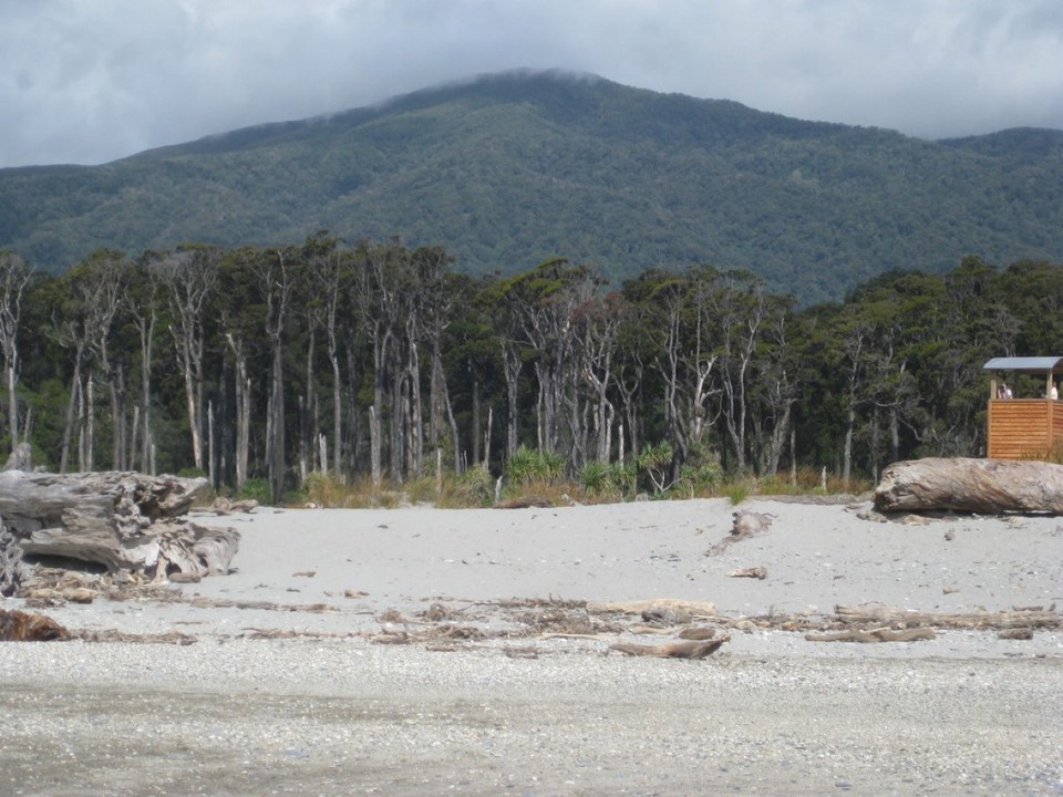 Neuseeland - Franz Josef Glacier - Achtung: Sandfliegen