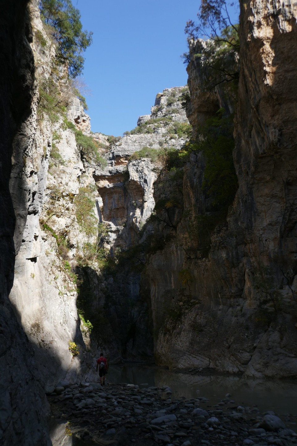 Albanien - Ogdunan - 