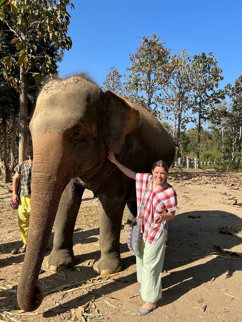 Thailand - Chiang Mai - 