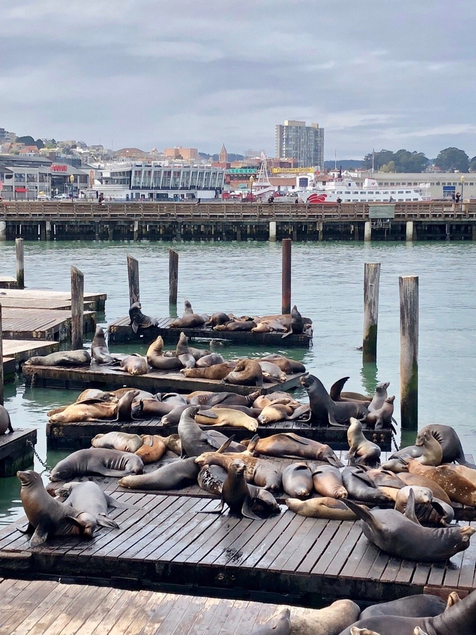 Vereinigte Staaten - San Francisco - 