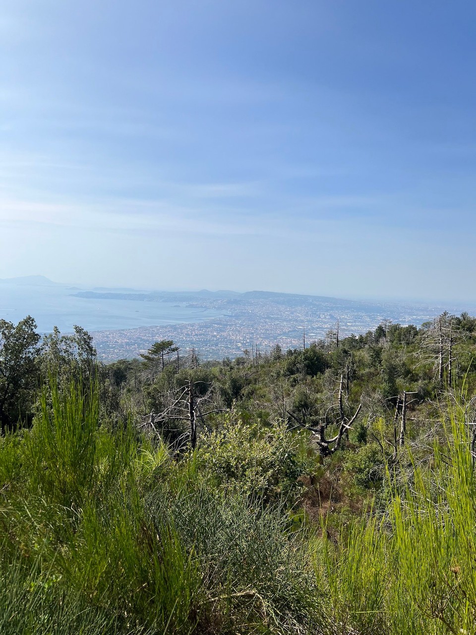 Italien - Cellole - 