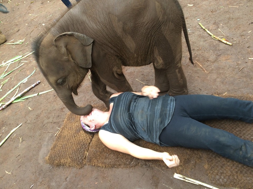 Thailand - Chiang Mai - 