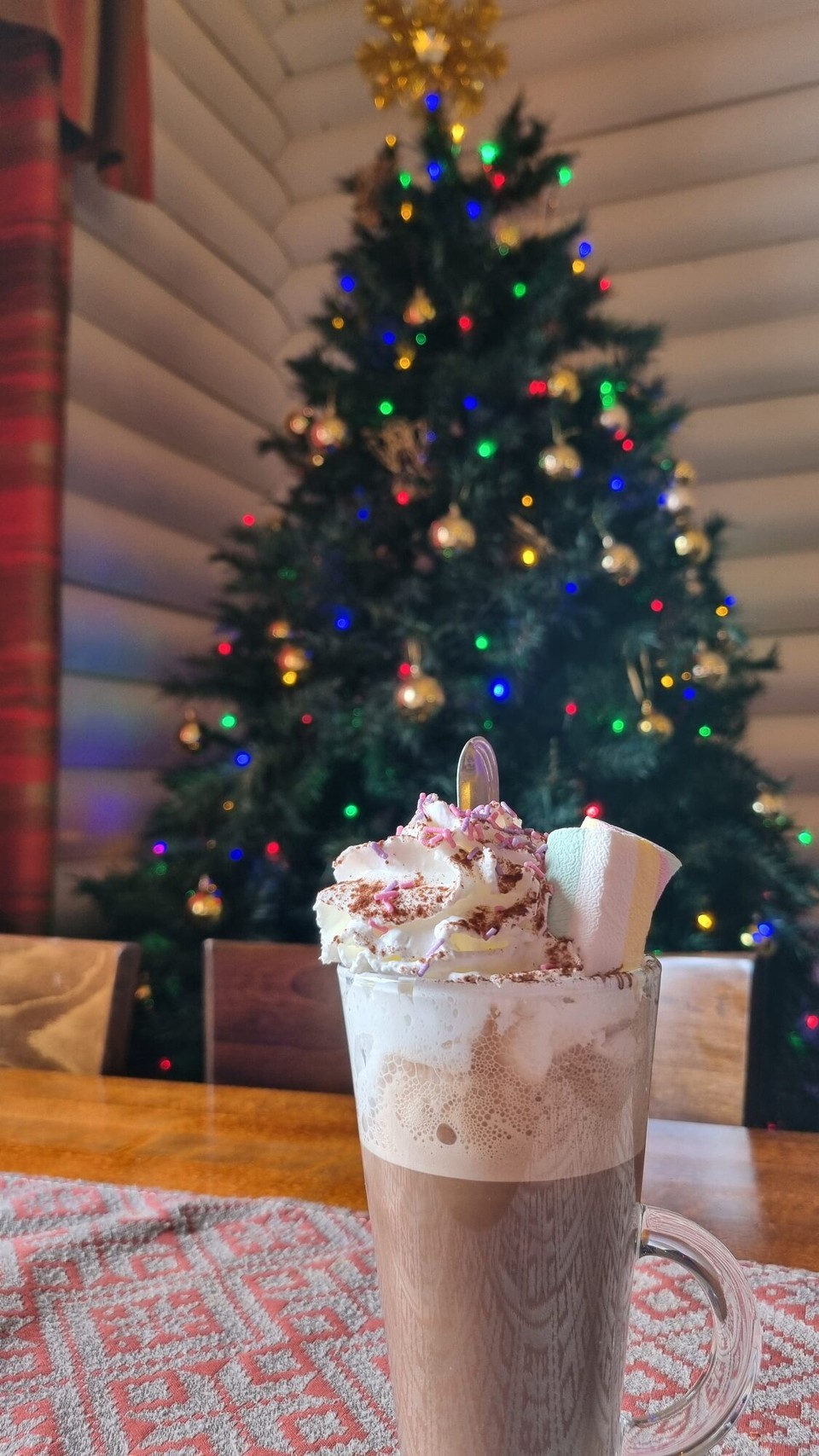 Finnland - Rovaniemi - Heisse Schoggi Melange mit Marshmallow