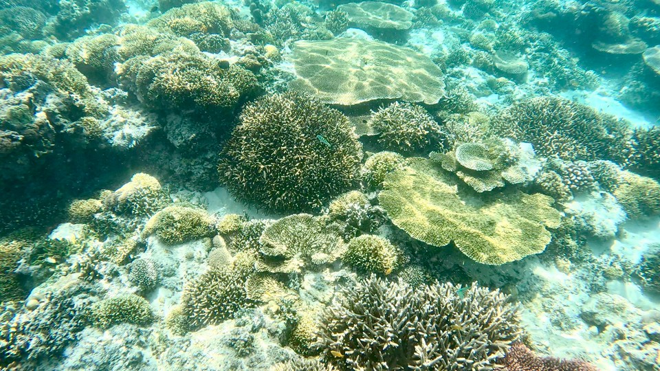 Indonesien - Kabupaten Lombok Utara - 