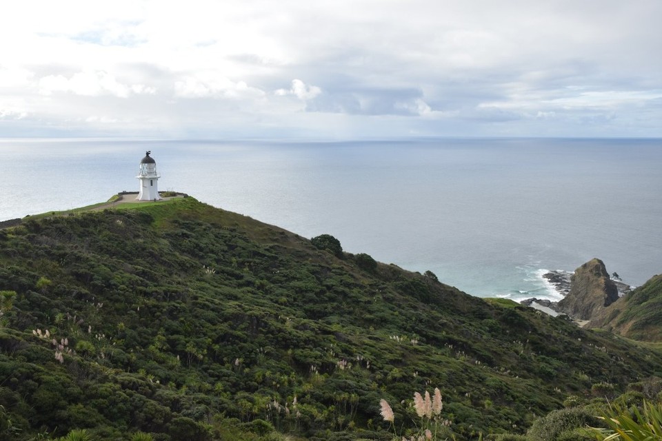 Neuseeland - Cape Reinga - 
