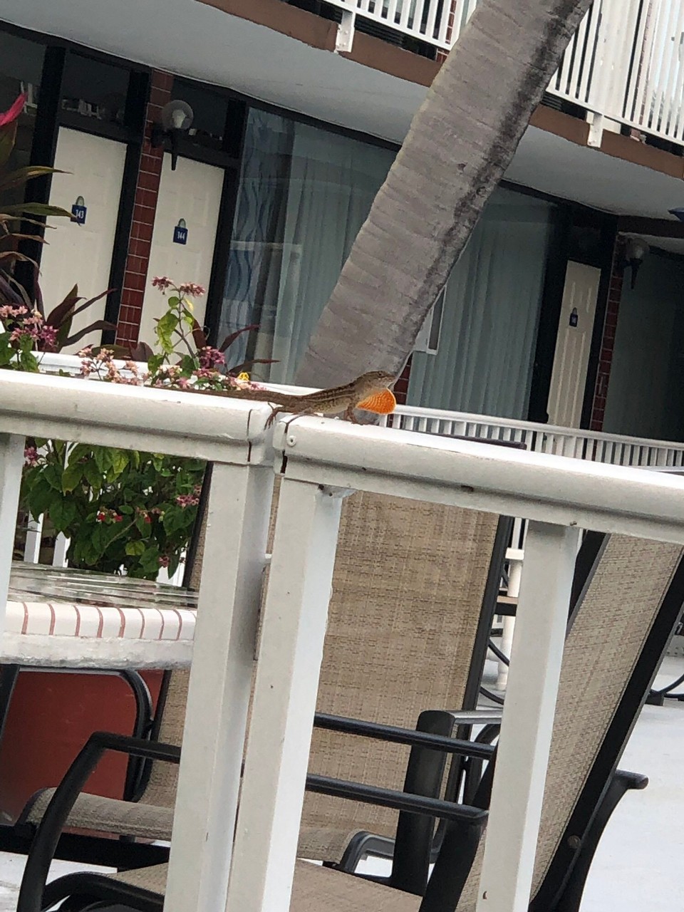 Vereinigte Staaten - Clearwater - 