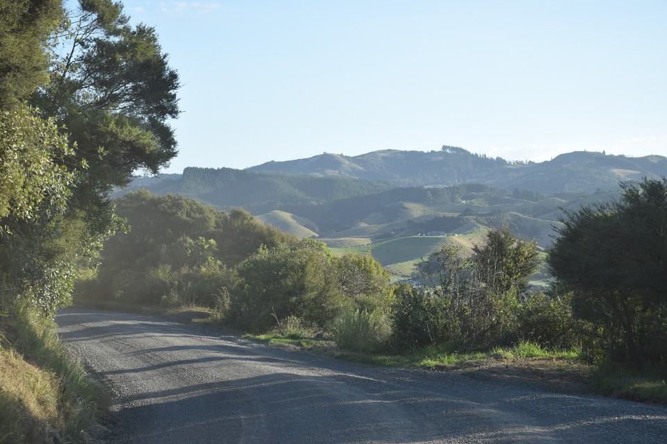 Neuseeland - Whitianga - 