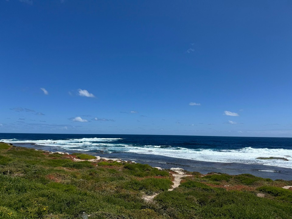 Australien - Rottnest - 