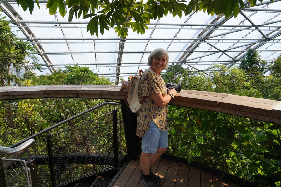 Madagaskar - unbekannt - Bei 38C in den Baumwipfeln