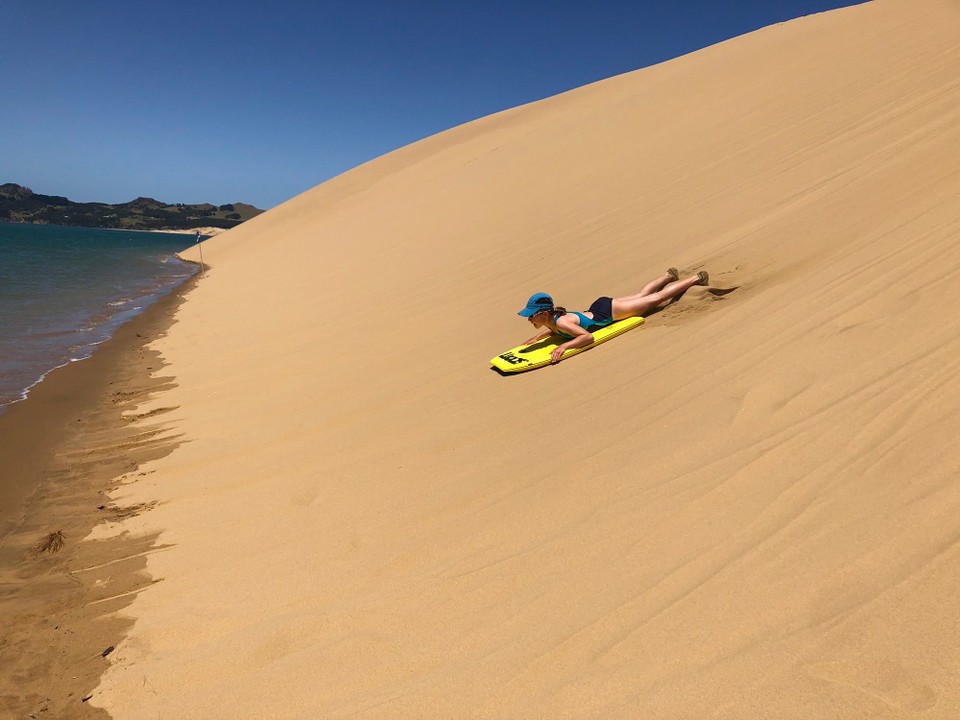Neuseeland - Opononi - Es ging mega schnell. 