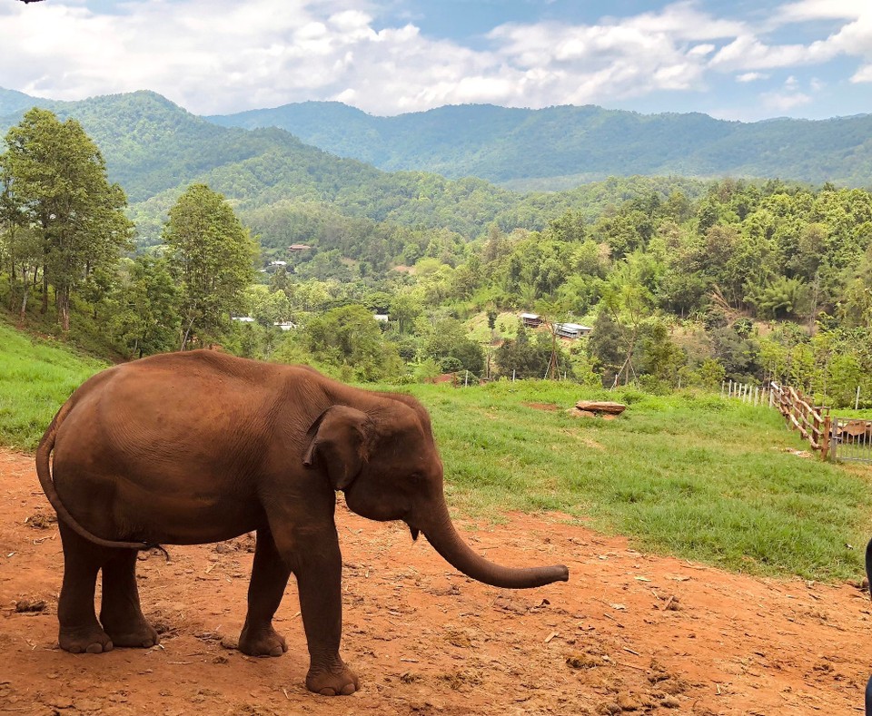 Thailand - Chiang Mai - 