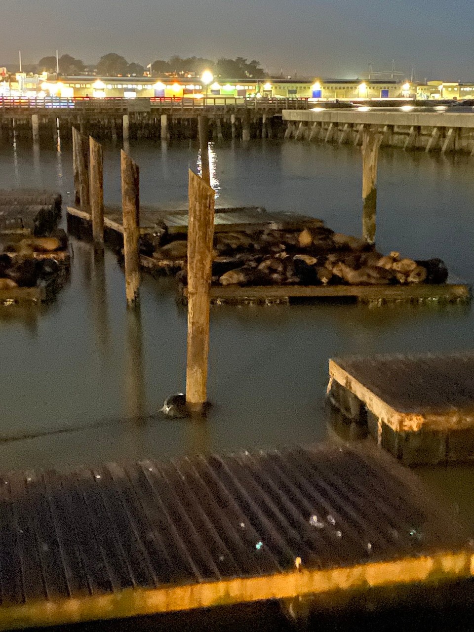 Vereinigte Staaten - San Francisco - 