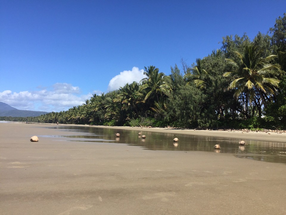 Australien - Port Douglas - 