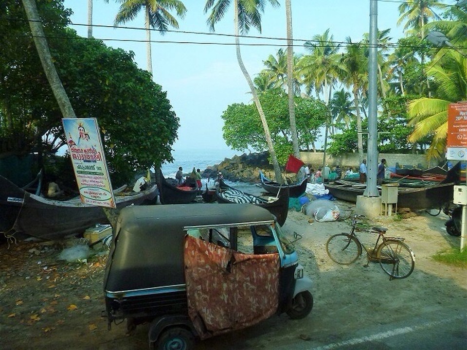 Indien - Kochi - Die Fischer bringen ihren Fang an Land