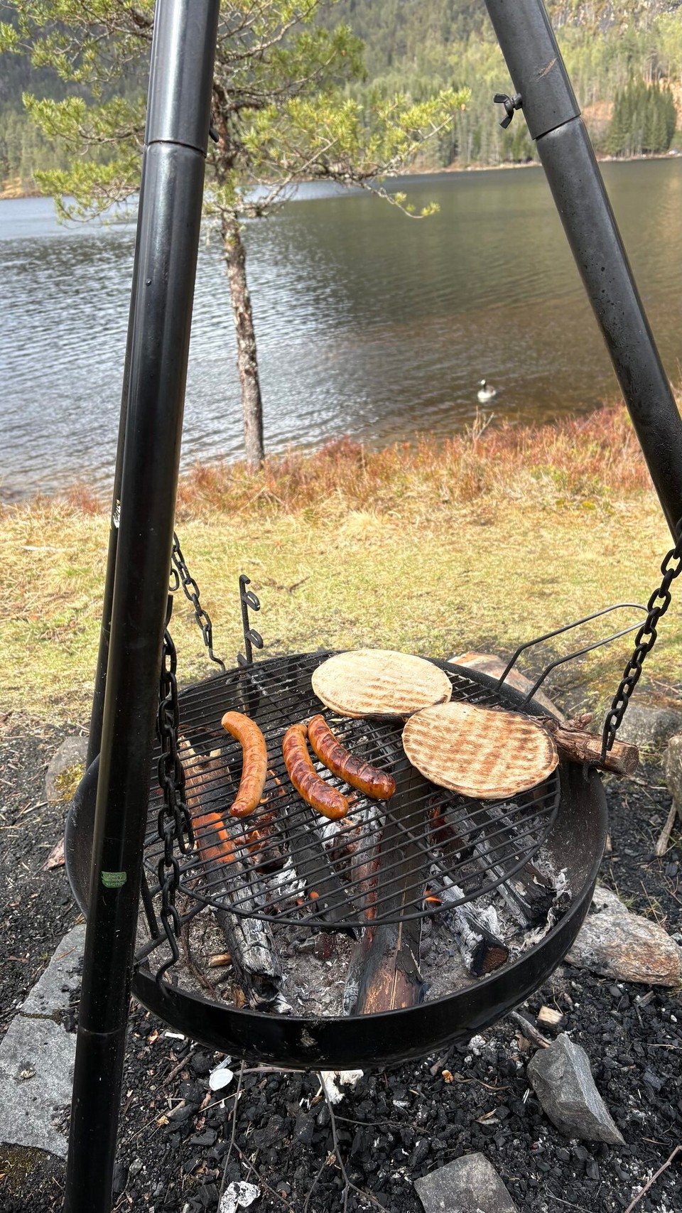 Norwegen - Førde - Essen ist fertig! 