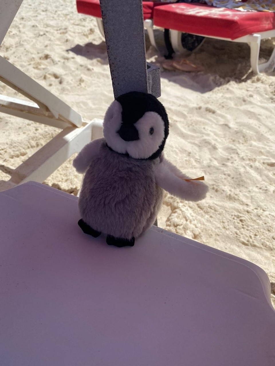 St. Martin - Saint Martin - Schatten…