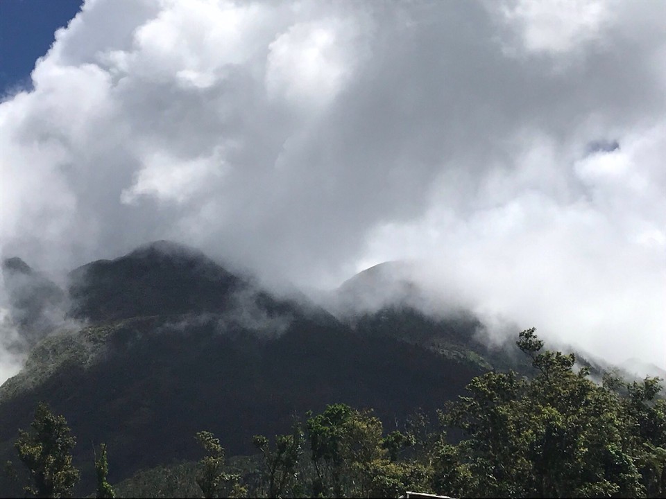 Dominica -  - 