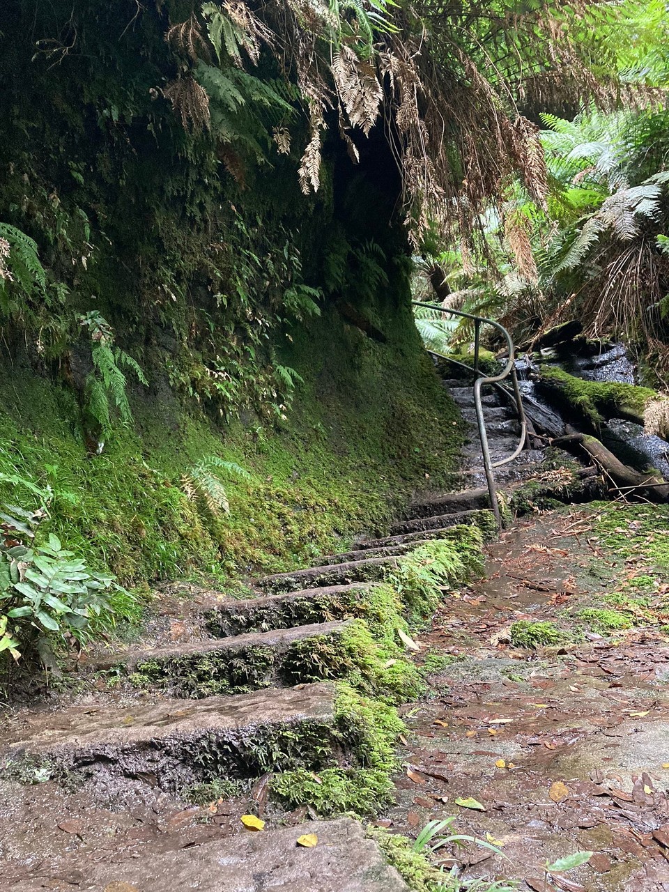 Australien - Blackheath - Grand Canyon Walking Track