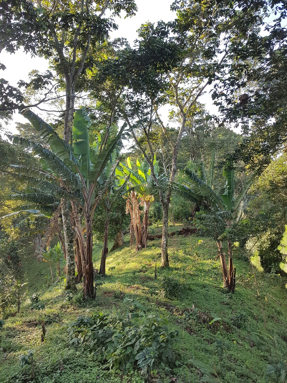 Nicaragua - Dipilto - Favorite hour of the day at the sunset spot