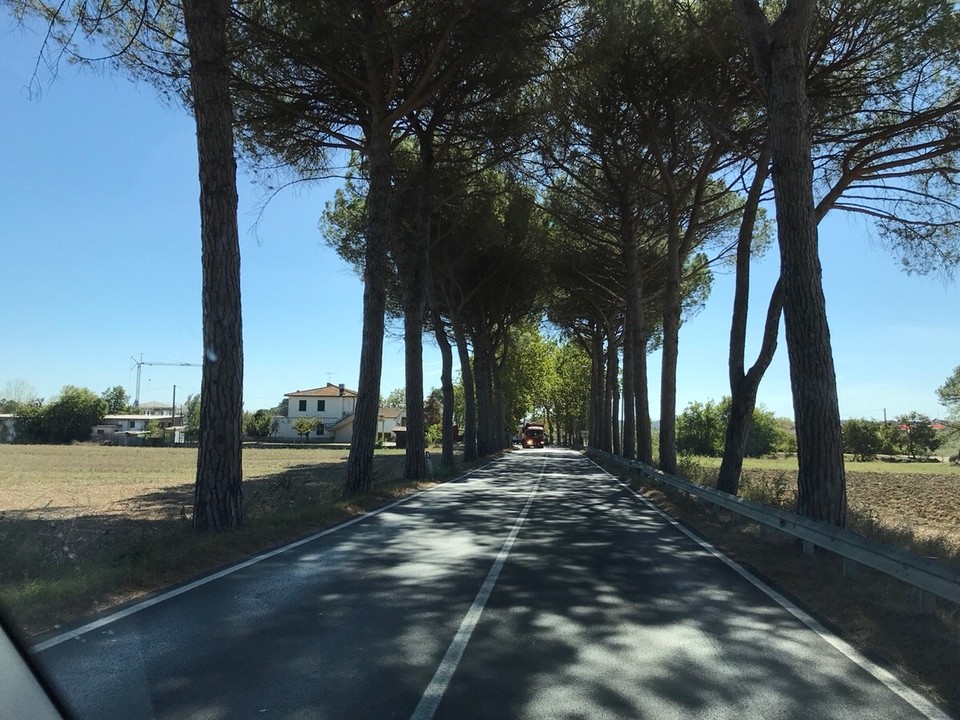 Italien - San Gimignano - 