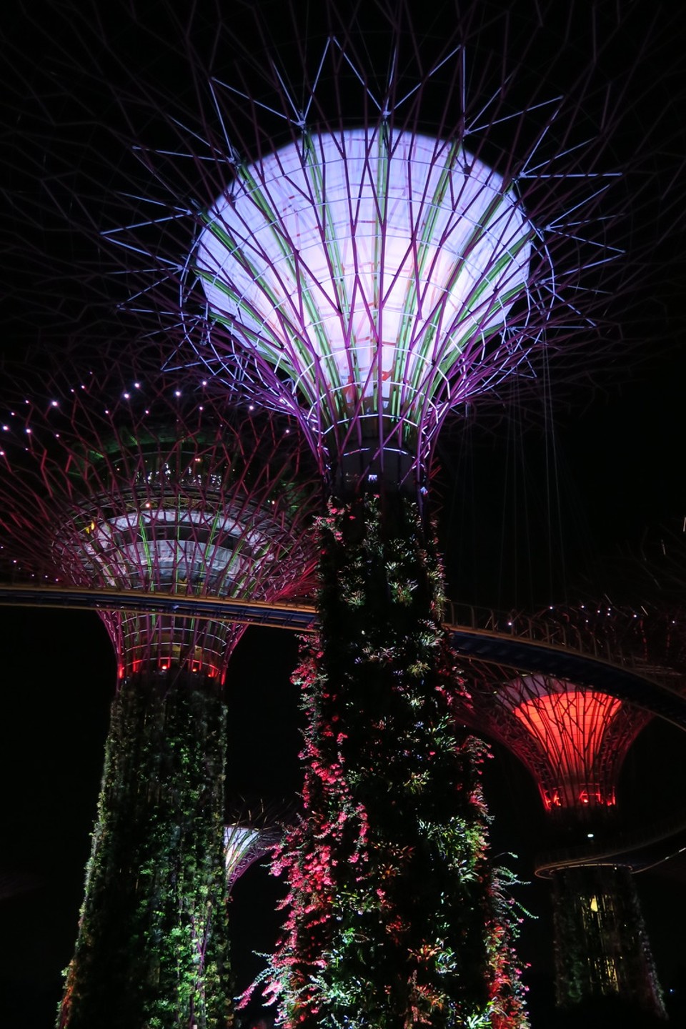 Singapore - Singapore - Garden by the bay