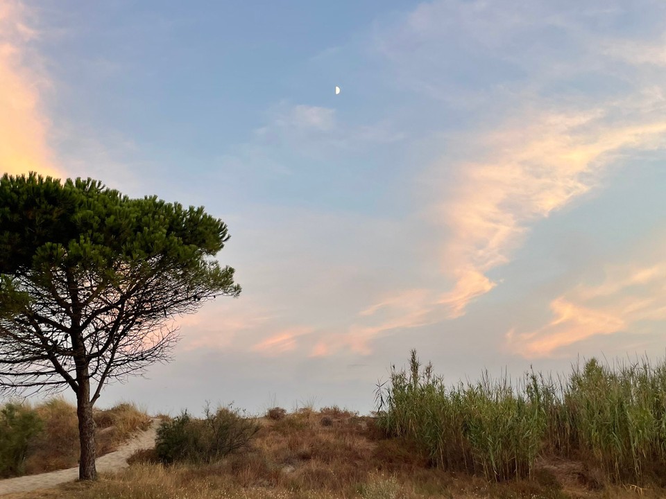 Frankreich - Agde - 