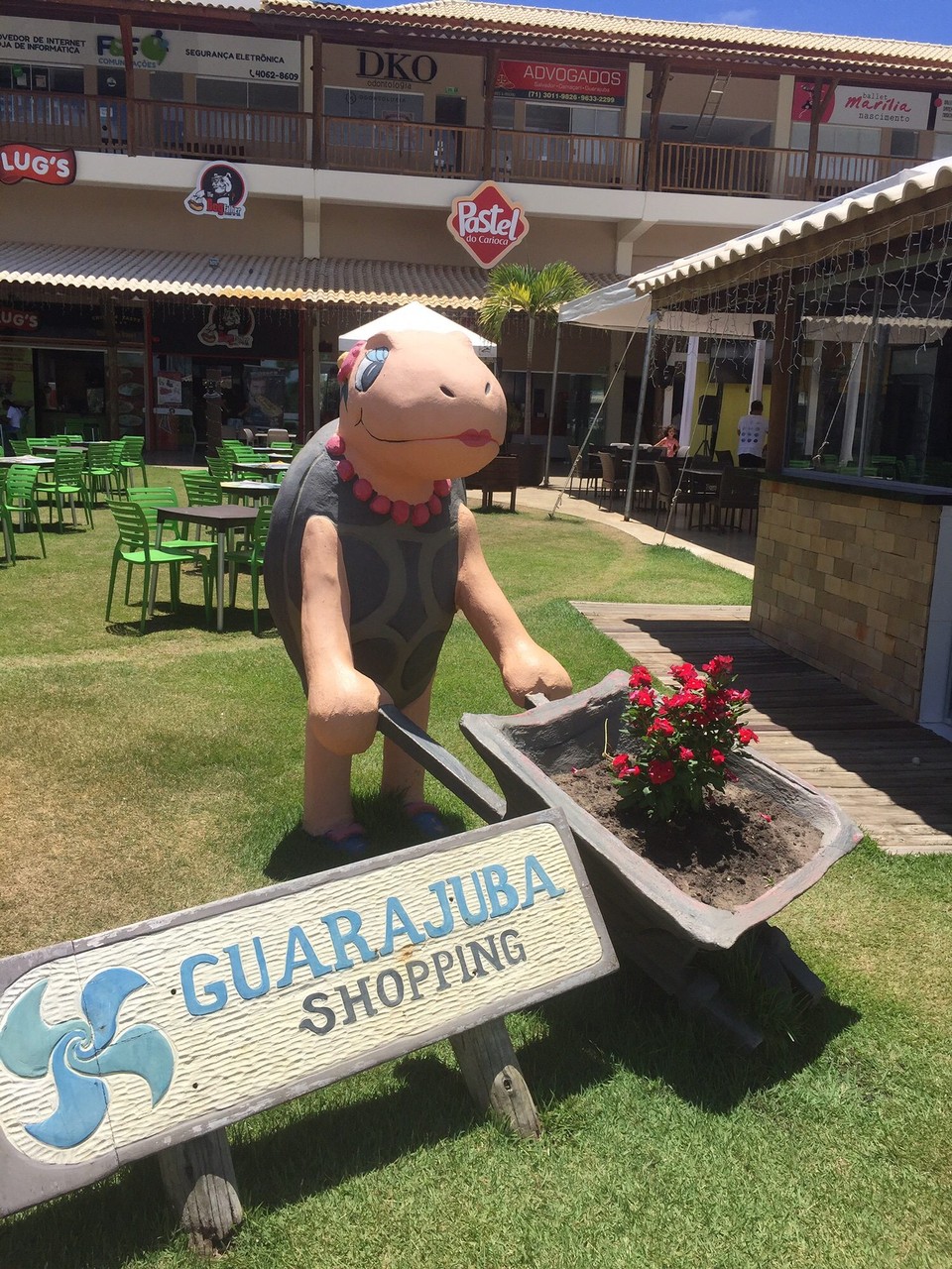 Brasilien - Jandaíra - Gurajuba